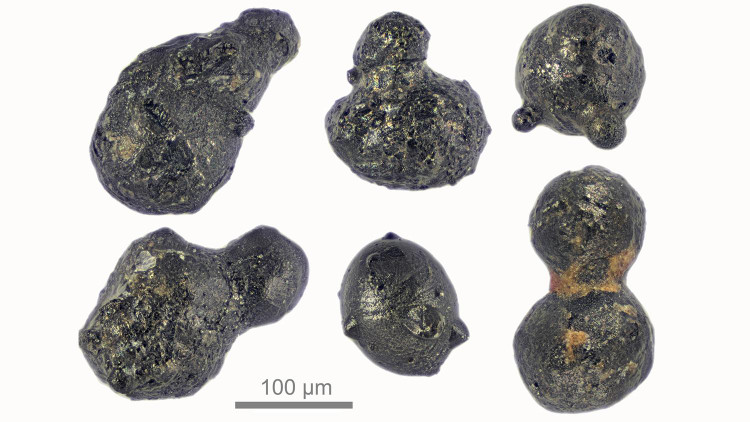 Вот так выглядят сферулы / Scott Peterson / micrometeorites.com