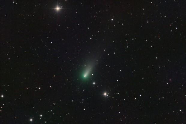Комета Леонарда 4 декабря. Фото: José J. Chambo/Cometografia