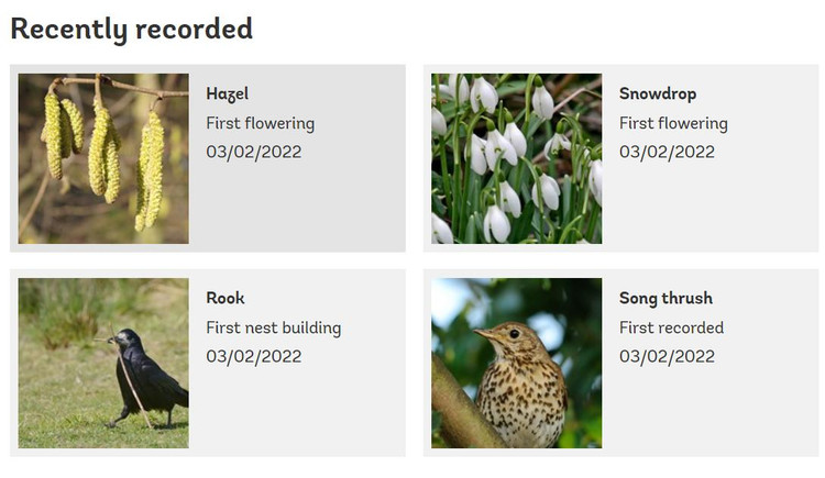 Примеры наблюдений. Слева направо: первое цветение орешника, первое цветение подснежника, первый случай строительства гнезда грачей, первые трели. Скриншот: naturescalendar.woodlandtrust.org.uk
