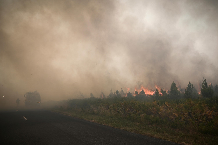 Лесной пожар во Франции. Источник: AP/ТАСС