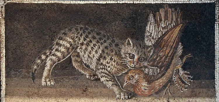Мозаика с изображением кошки, ловящей перепела, II век до н.э., Помпеи. Скриншот: worldhistory.org