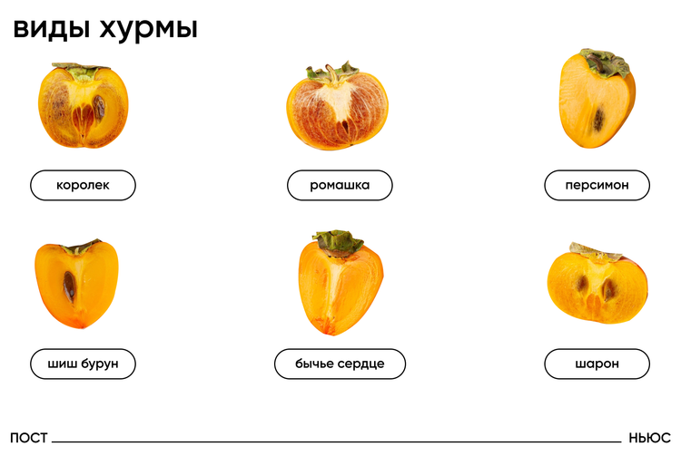 Группа варьирующих сортов хурмы: тот самый королек