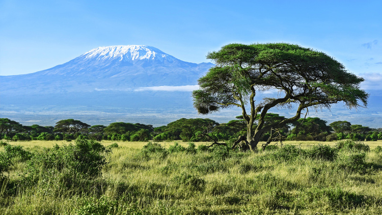 Килиманджаро (фото: kyslynskahal/shutterstock.com)
