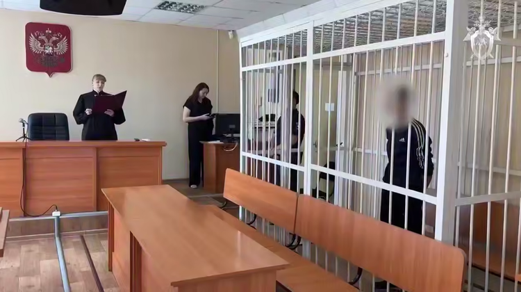 СУ СК России/Telegram