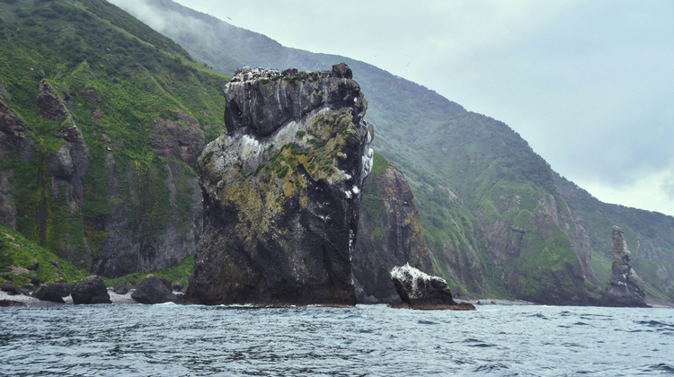 Unsplash