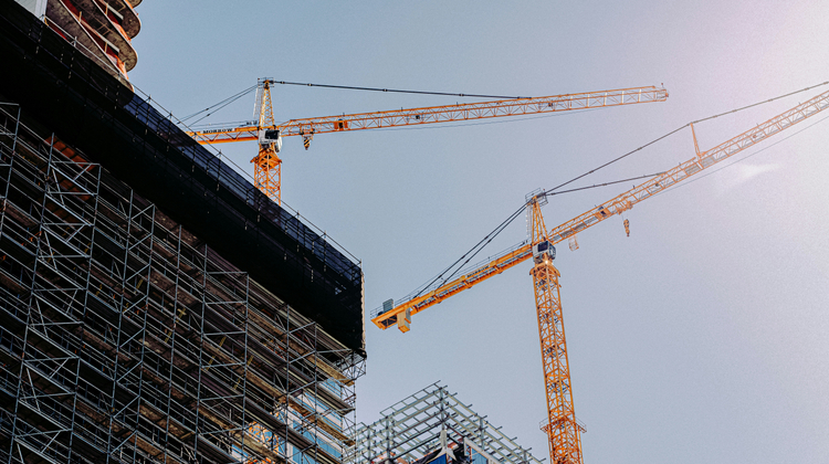 Frames For Your Heart/Unsplash