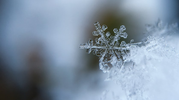 Aaron Burden/Unsplash