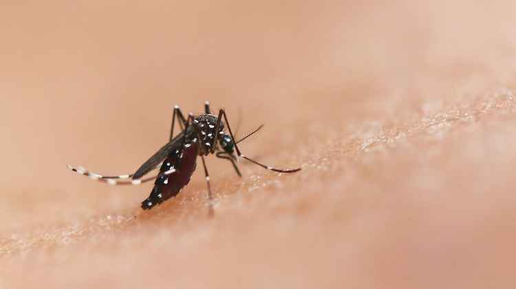 National Institute of Allergy and Infectious Diseases/Unsplash