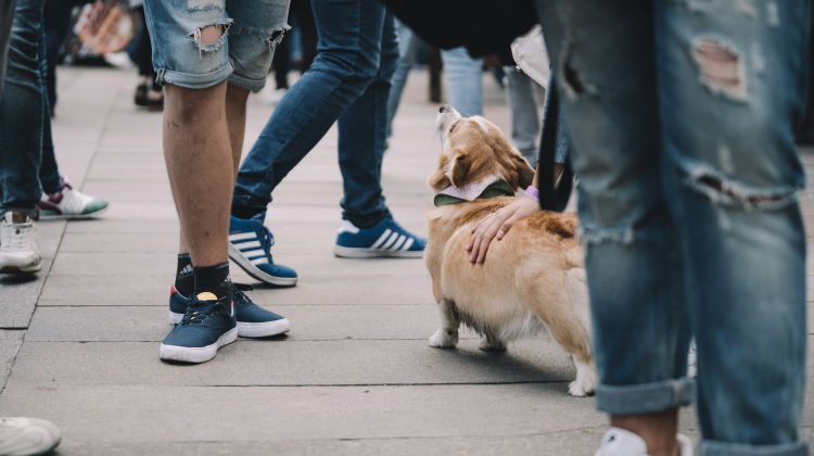  Ilyuza Mingazova/Unsplash