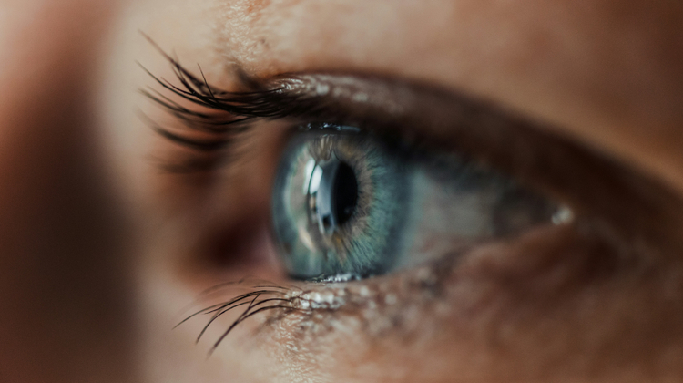 César Couto/Unsplash