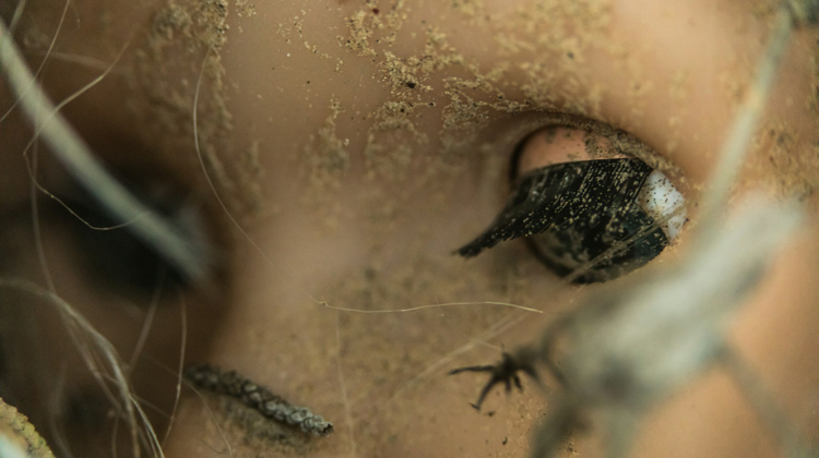 Patrick Hendry/Unsplash