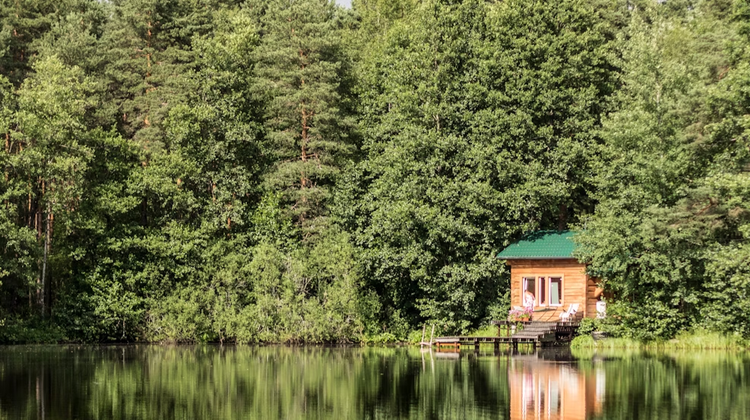 Alyona Bogomolova/Unsplash