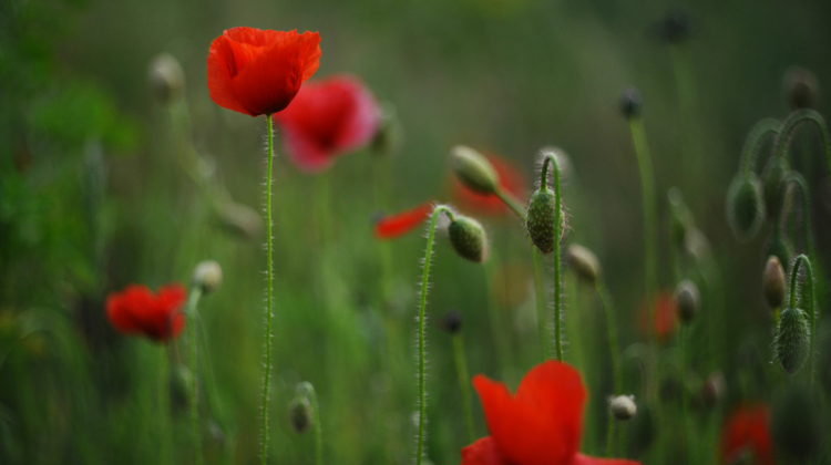 Liana S/Unsplash