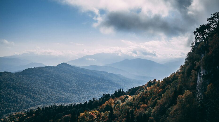  Dmitry Pankin/Unsplash