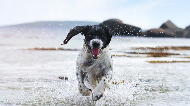Rafaëlla Waasdorp/unsplash