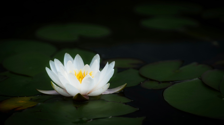  Rainhard Wiesinger/Unsplash