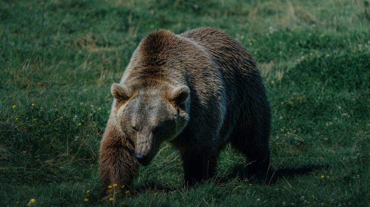 Ronan Hello/Unsplash