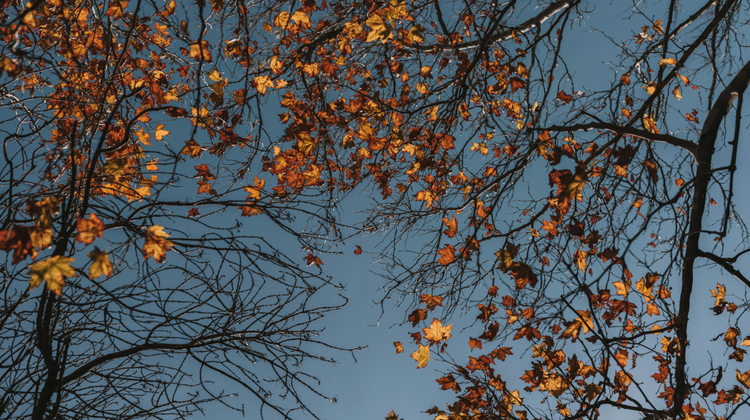 Jorch Alon/Unsplash
