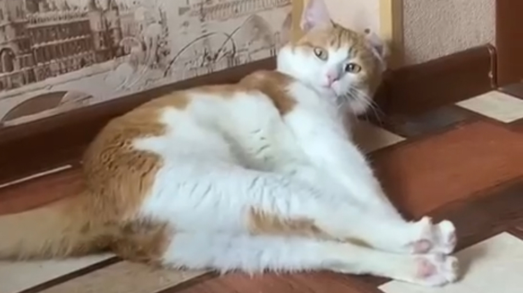 Порфирьевич нейросеть. Нейросеть сочиняет истории. Нейросеть сочиняет истории. Нейросеть сочиняет истории. Порфирьевич нейросеть.