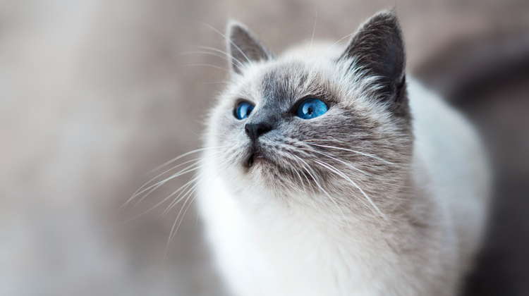 Mikhail Vasilyev/Unsplash