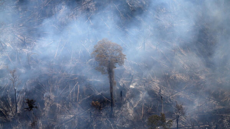 Фото: Reuters