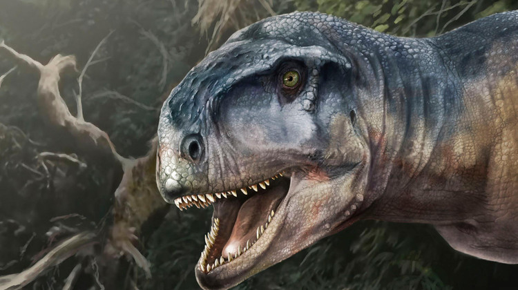 Художественное представление динозавра Llukalkan aliocranianus. Фото: Jorge Blanco and Journal of Vertebrate Paleontology