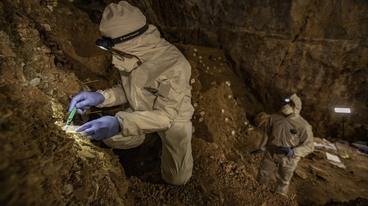Доцент Миккель Винтер Педерсен из Копенгагенского университета отбирает образцы пещерных отложений на ДНК / ©phys.org