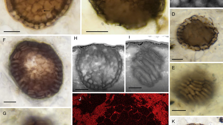 Фото: sciencedirect.com