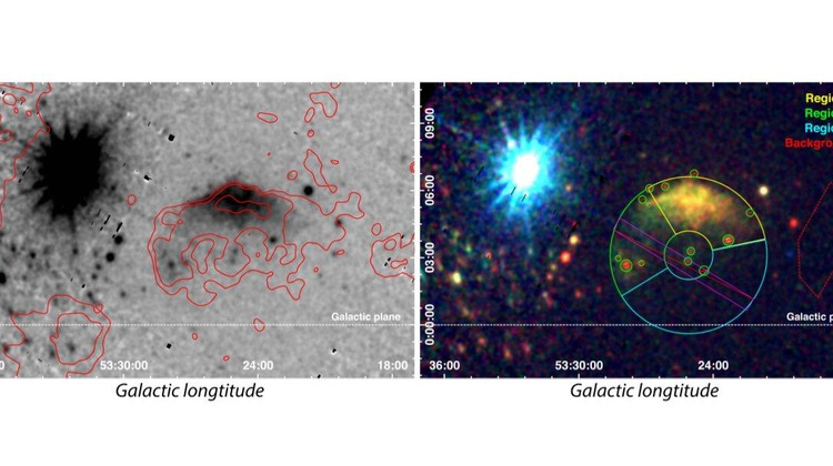 Фото: Domček et al., 2021.