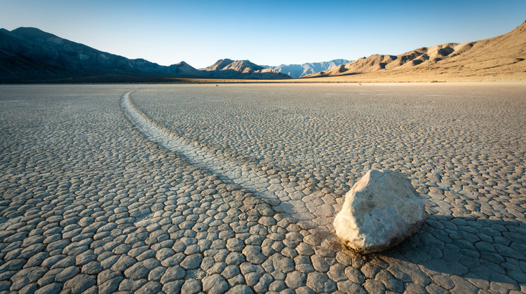 Фото: Laurens Hoddenbagh/Shutterstock