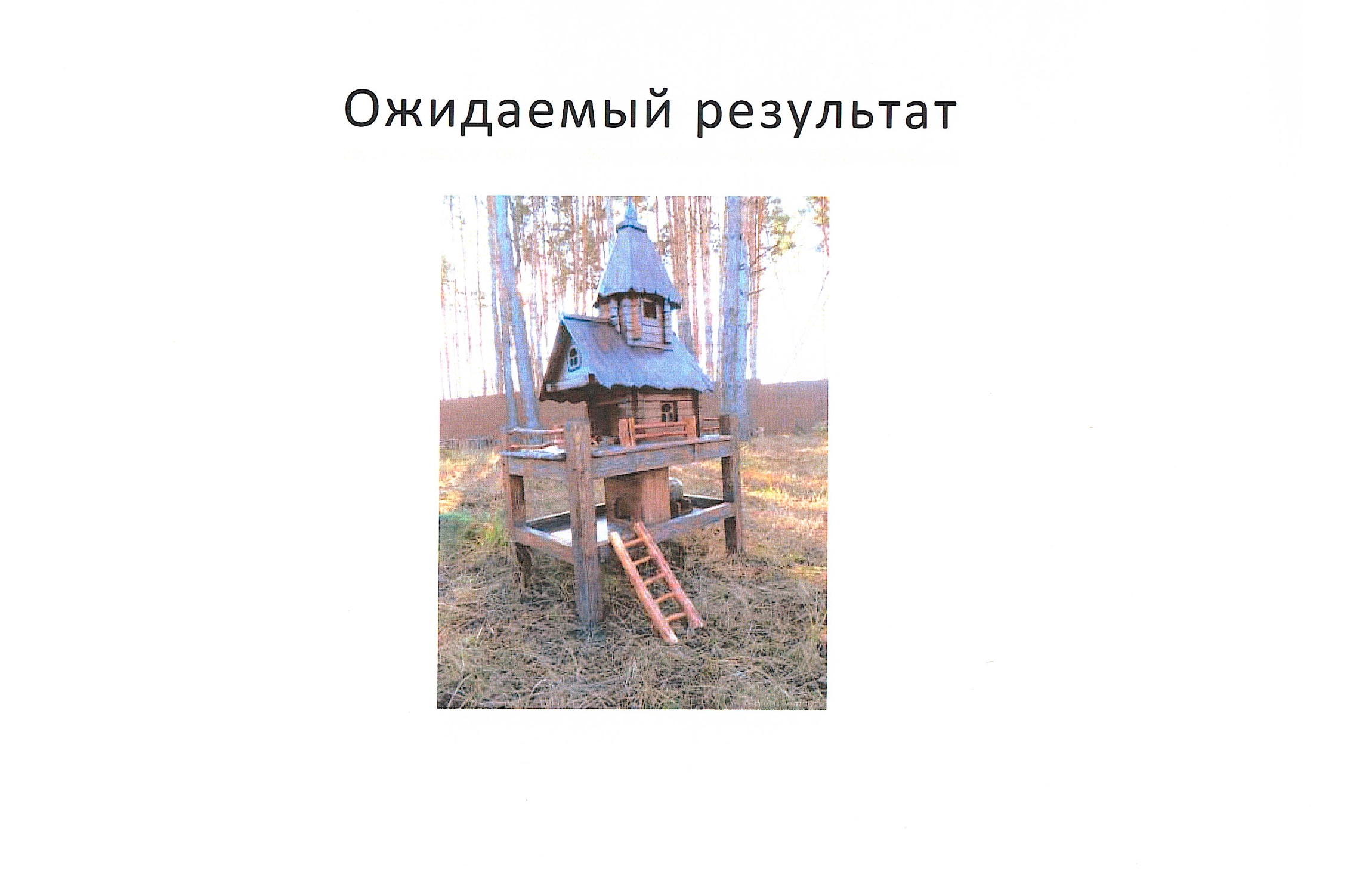 Презентация проекта «Хвостатый буфет»