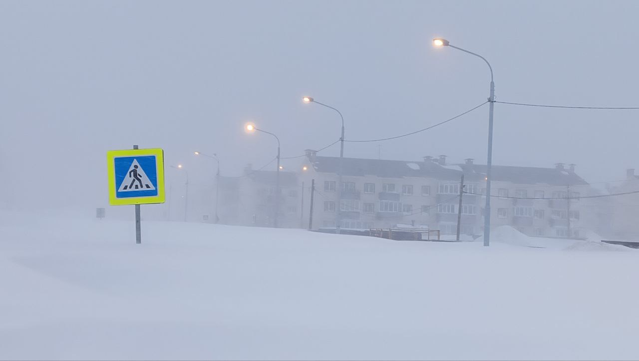 Фото: Елизавета Шманько