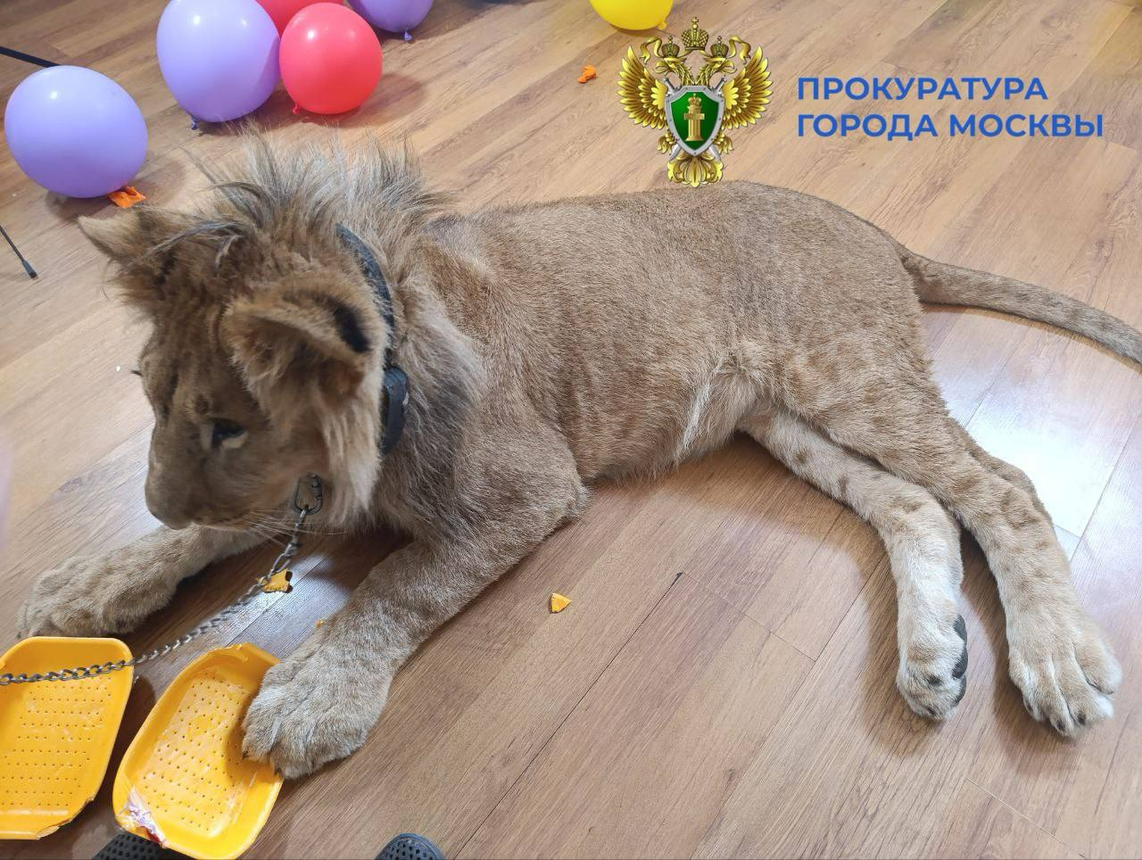 Прокуратура Москвы