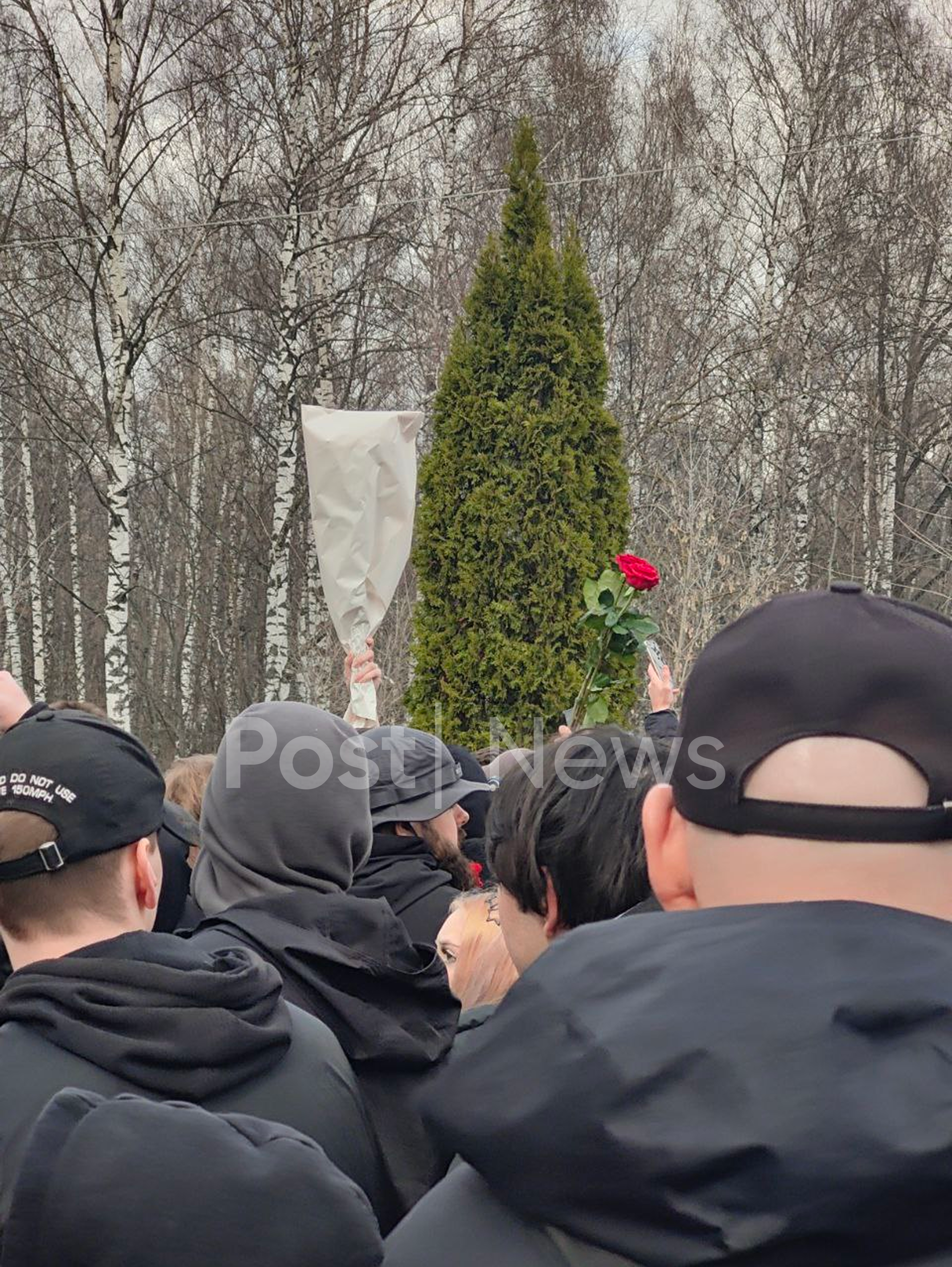 «Постньюс»