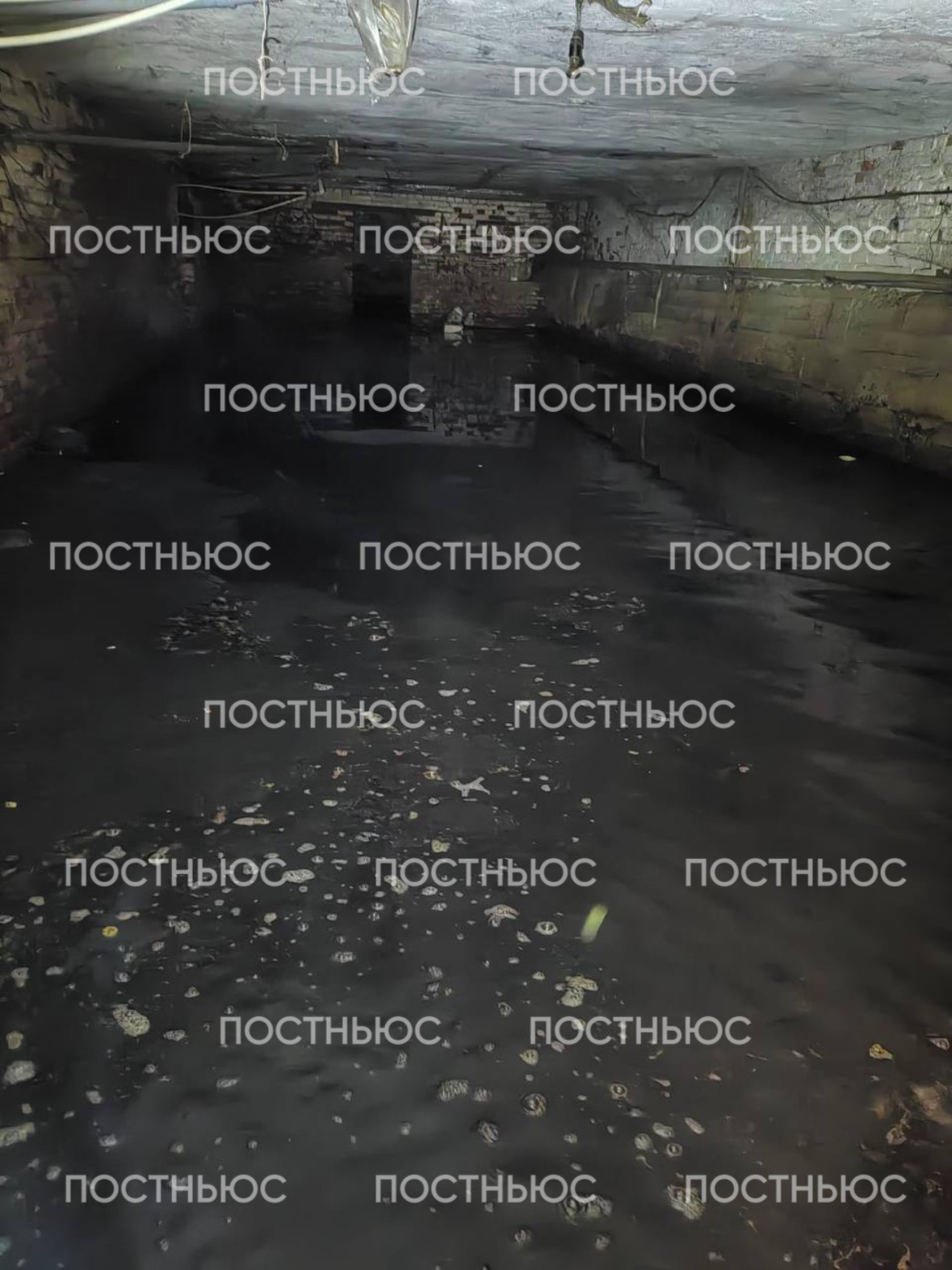 Затопленный подвал