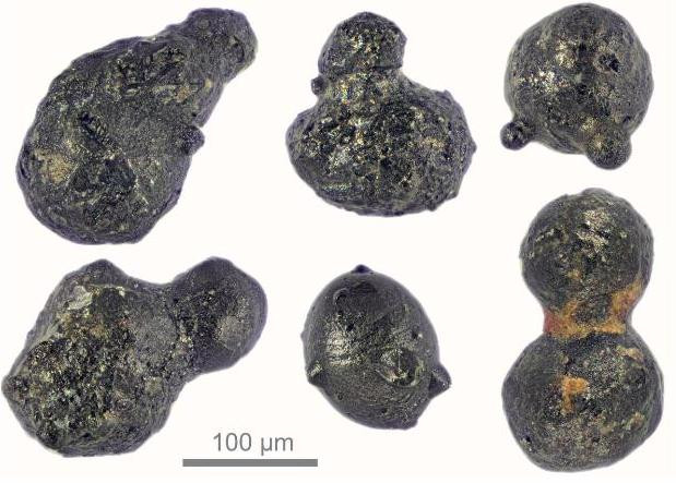 Фото: Магматические частицы имеют темно-черный цвет и от округлой до идеально сферической формы. Около половины представляют собой шарики, состоящие из двух или более сросшихся шариков / © M. Van Ginneken et al.