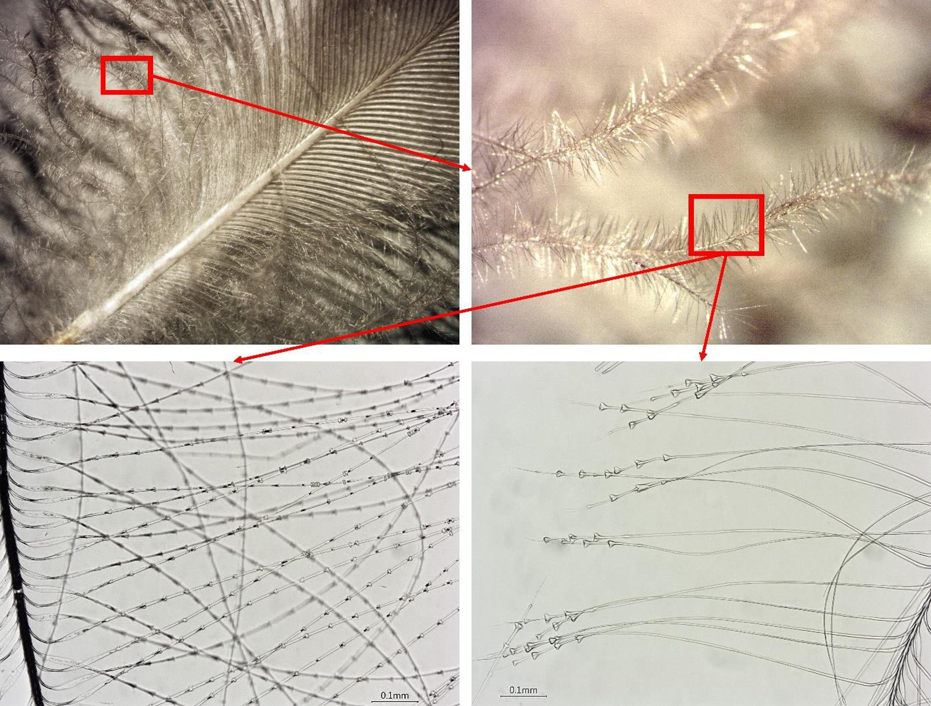 Фото: Jørgen Rosvold / Journal of Archaeological Science