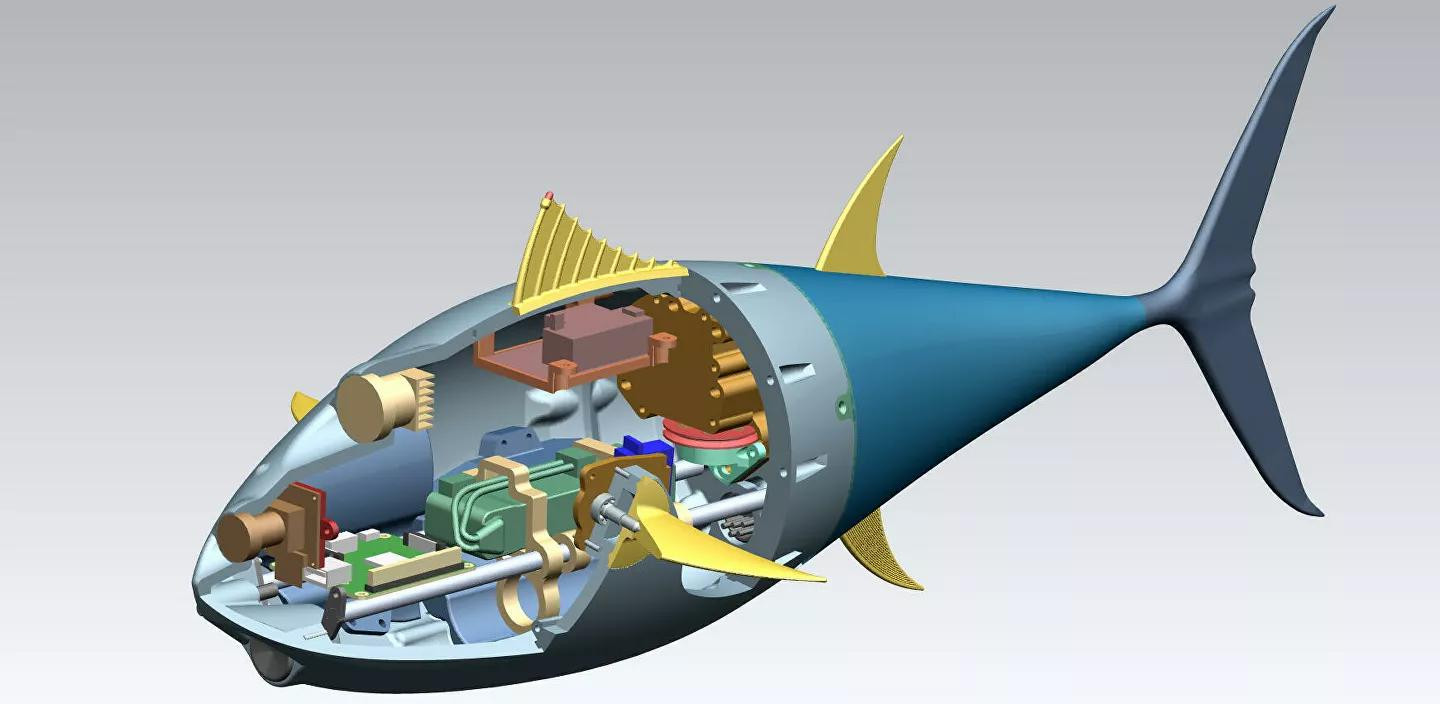 Прототип робота-тунца изнутри / Пресс-служба БФУ им. Канта