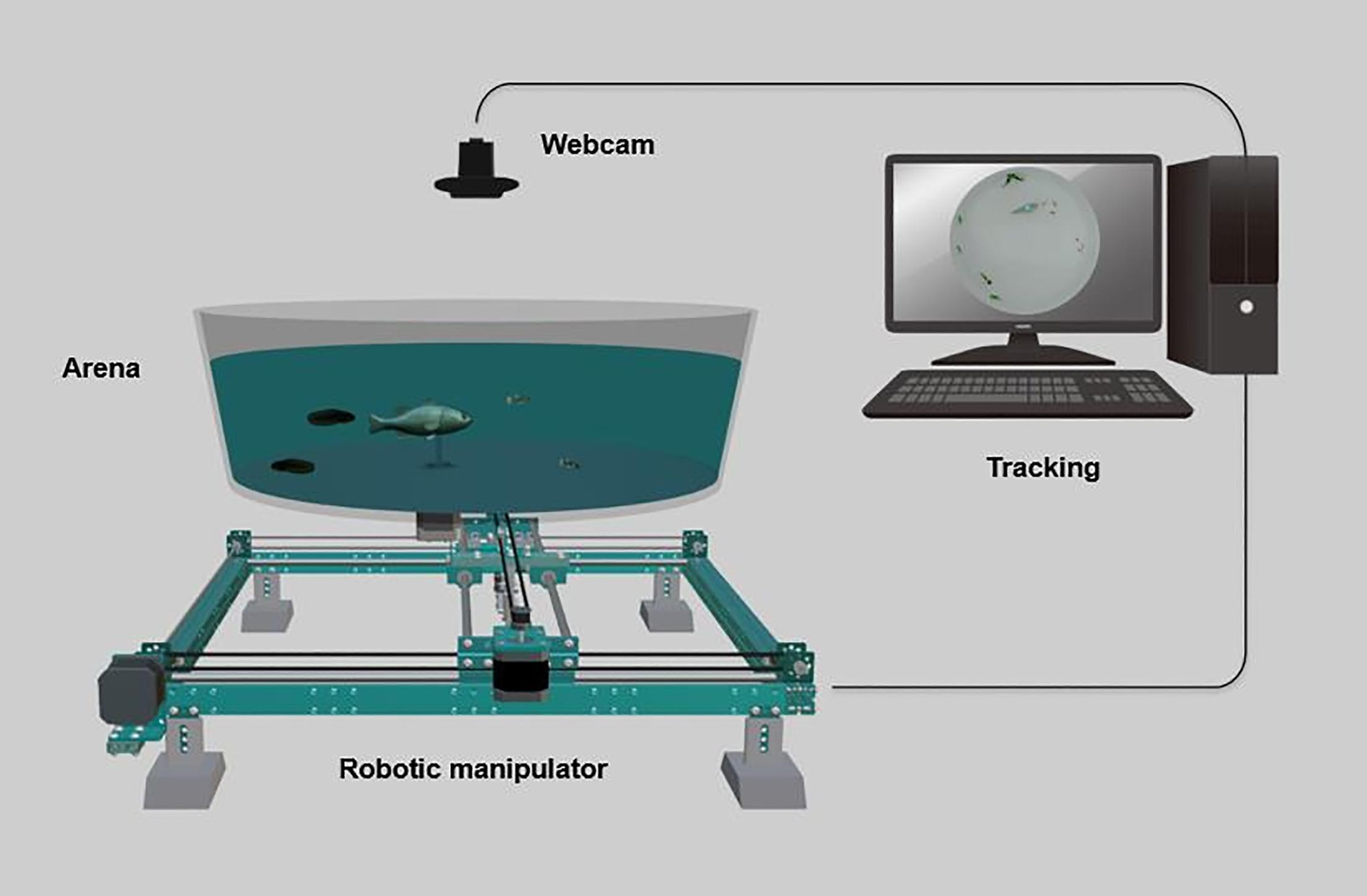 Схема управления рыбой-роботом