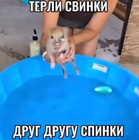 Соцсети